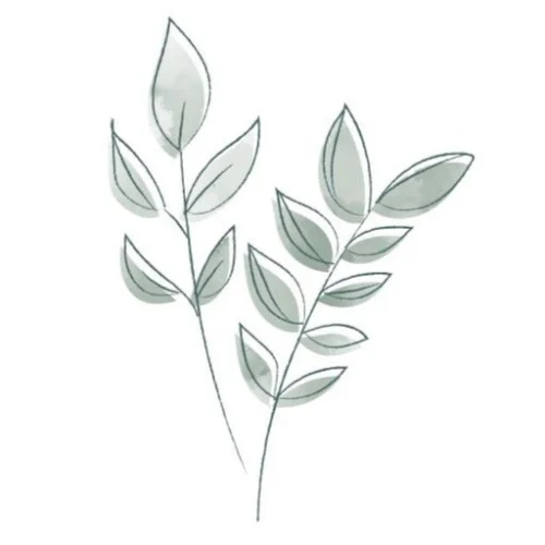 ichlasselos.at | Community